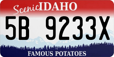 ID license plate 5B9233X