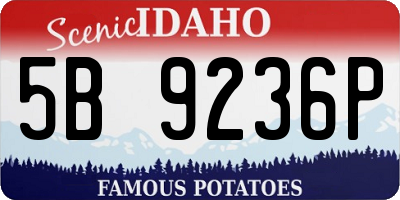 ID license plate 5B9236P