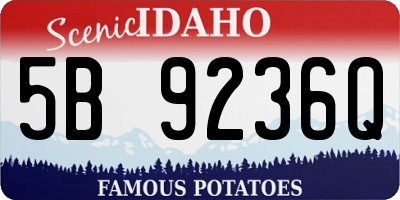 ID license plate 5B9236Q
