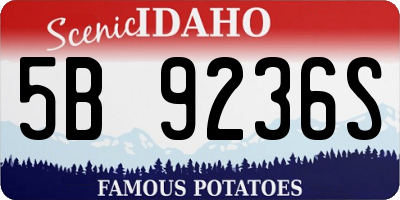 ID license plate 5B9236S