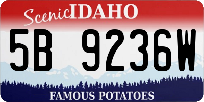 ID license plate 5B9236W