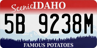 ID license plate 5B9238M