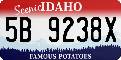 ID license plate 5B9238X