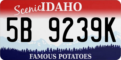 ID license plate 5B9239K