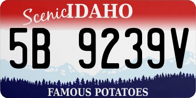 ID license plate 5B9239V