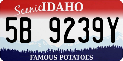 ID license plate 5B9239Y