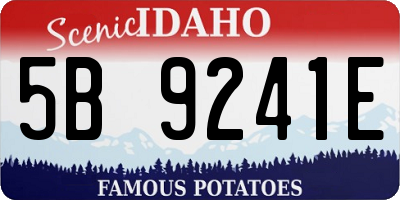 ID license plate 5B9241E