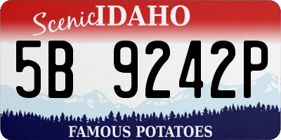 ID license plate 5B9242P