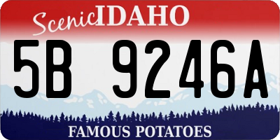 ID license plate 5B9246A