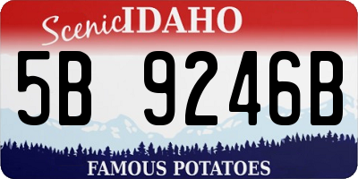 ID license plate 5B9246B
