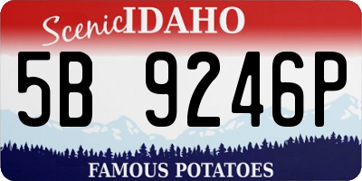 ID license plate 5B9246P