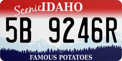 ID license plate 5B9246R