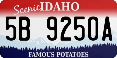 ID license plate 5B9250A
