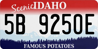 ID license plate 5B9250E