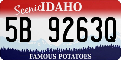 ID license plate 5B9263Q
