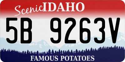 ID license plate 5B9263V