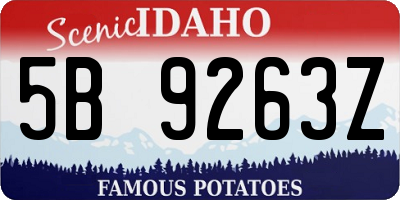 ID license plate 5B9263Z