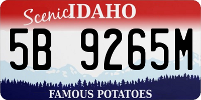 ID license plate 5B9265M