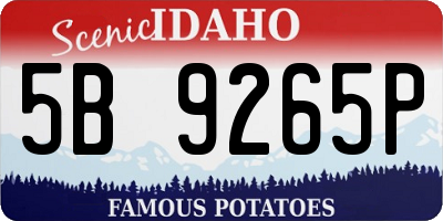 ID license plate 5B9265P