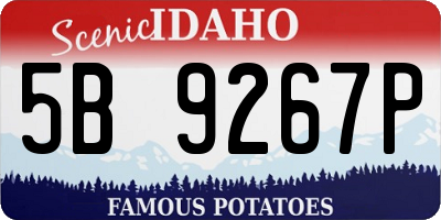 ID license plate 5B9267P