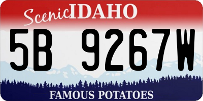 ID license plate 5B9267W