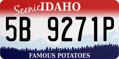 ID license plate 5B9271P