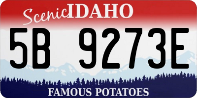 ID license plate 5B9273E