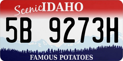 ID license plate 5B9273H