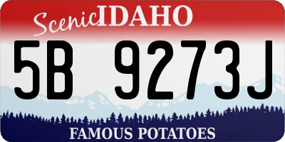 ID license plate 5B9273J