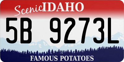 ID license plate 5B9273L