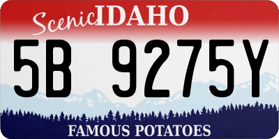 ID license plate 5B9275Y