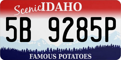 ID license plate 5B9285P