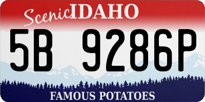 ID license plate 5B9286P