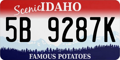 ID license plate 5B9287K