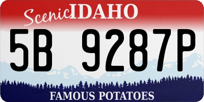 ID license plate 5B9287P