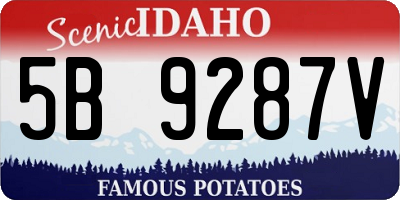 ID license plate 5B9287V