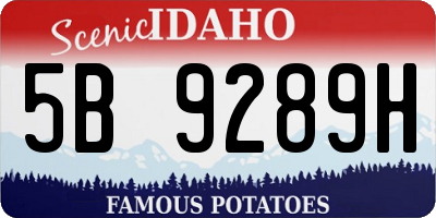 ID license plate 5B9289H