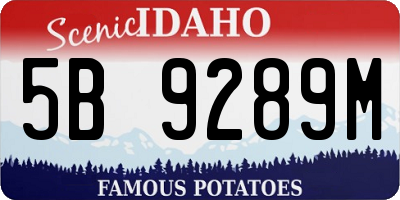 ID license plate 5B9289M