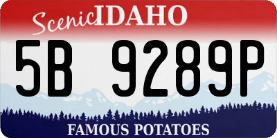 ID license plate 5B9289P