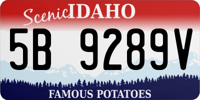ID license plate 5B9289V