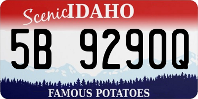 ID license plate 5B9290Q