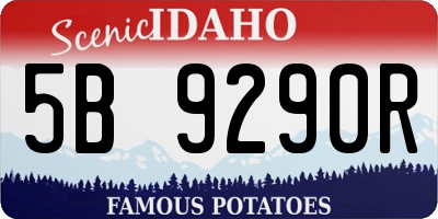ID license plate 5B9290R
