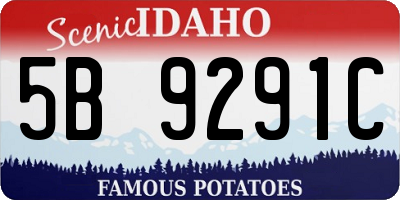 ID license plate 5B9291C
