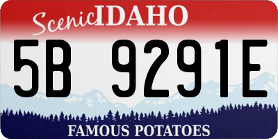 ID license plate 5B9291E
