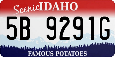 ID license plate 5B9291G