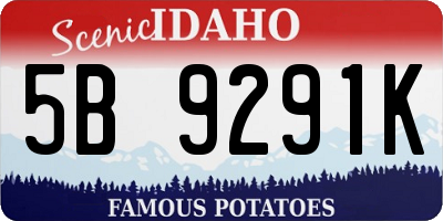 ID license plate 5B9291K