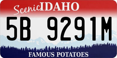 ID license plate 5B9291M