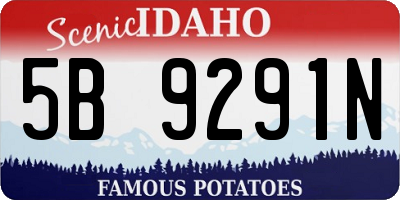 ID license plate 5B9291N