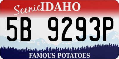 ID license plate 5B9293P