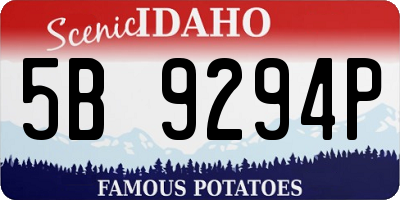 ID license plate 5B9294P